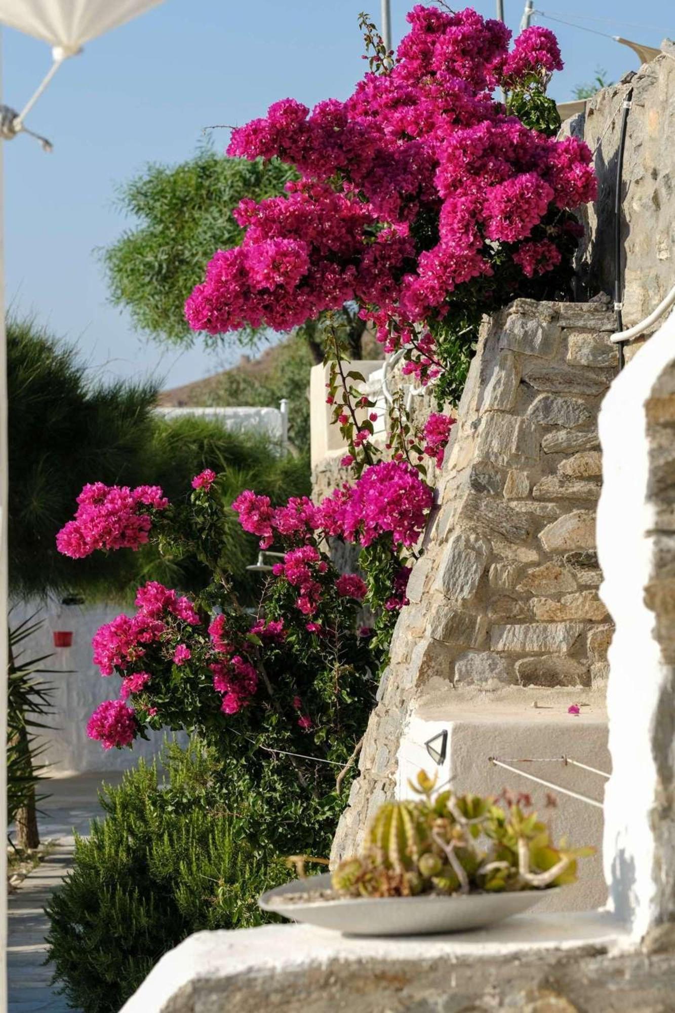 3 Paros All Season Villas Dış mekan fotoğraf